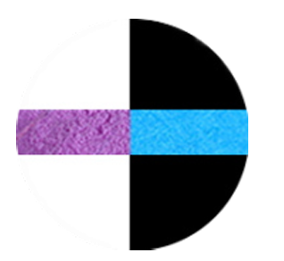 Vantage Metallic Pigment Glitter- 8 Oz Glow Series